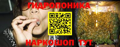 спиды Заводоуковск