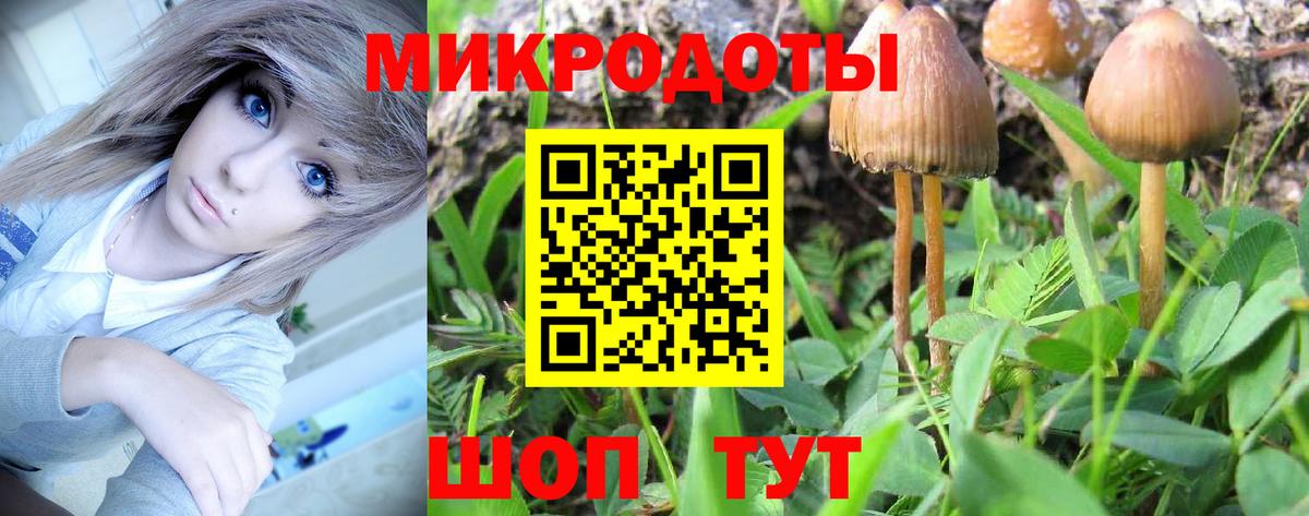 Галлюциногенные грибы Psilocybine cubensis Ликино-Дулёво
