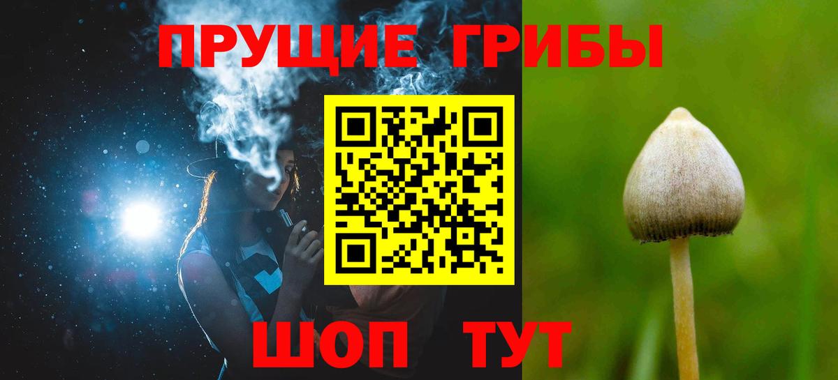 Ликино-Дулёво  Псилоцибиновые грибы MAGIC MUSHROOMS  Вход с VPN  Галлюциногенные грибы GOLDEN TEACHER 